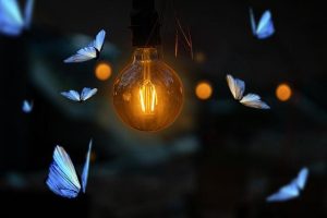 Hedonai: Belleza y Bienestar con Tecnología de Punta